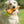 Load image into Gallery viewer, Petface Foodie Faces Fluffy Carrot Dog Toy
