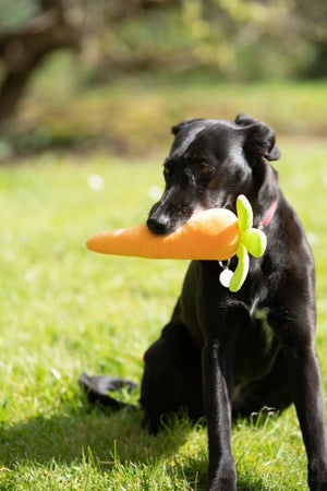 Petface Foodie Faces Fluffy Carrot Dog Toy