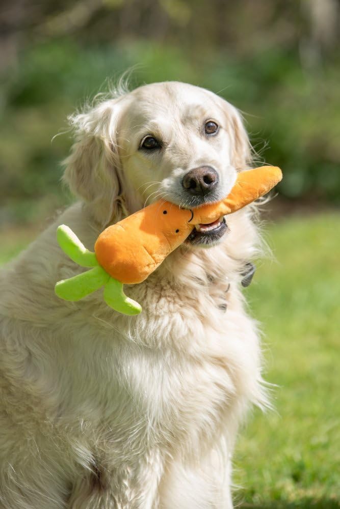 Petface Foodie Faces Fluffy Carrot Dog Toy